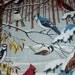 Nice Vintage Bird Kitchen Towel Cardinal, Blue Jay, Owl, Woodpecker Plus More