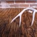 Vintage Whitetail Deer Antler