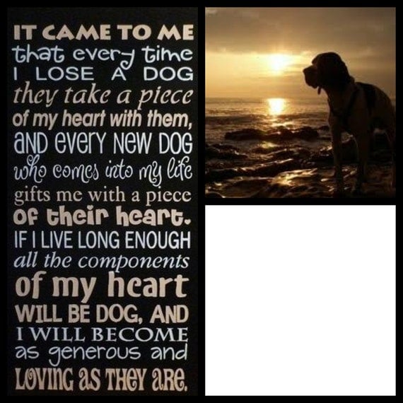 Pet Memorial Poem personalized with your Dog's picture Pet Memorial Poem personalized with your Dog's picture