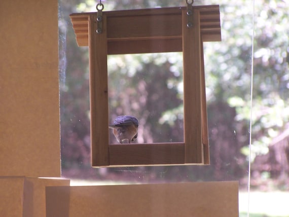 Window Bird Feeder