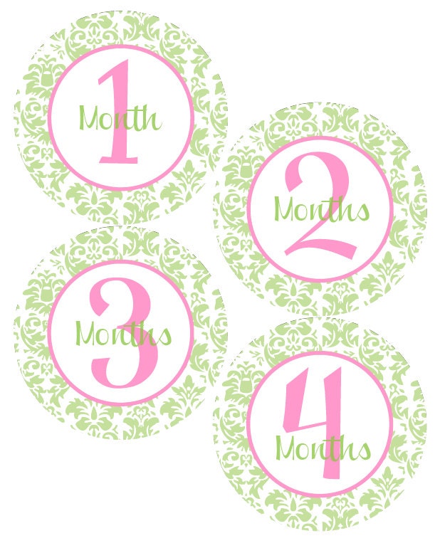 MONTHLY Milestone STICKERS Damask Baby Month by BabyStickerCo