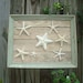 Framed Starfish Wall Decor