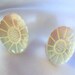 Vintage Mother of Pearl Carved Earrings