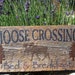FALL SALE Moose Country Rustic Montana Made Wooden Sign Weathered Bed And Breakfast Wildlife Primitive Rusty Pinetree Cabin Lodge FTTeam