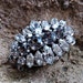 Large silvertone rhinestone necklace clasp finding jewelry supplies