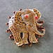 Orange eyed patchwork and polka dotted elephant pin or brooch. Recycled and ONE OF A KIND