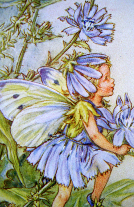 1930s CHICORY FAIRY Cicely Mary Barker PRINT Ideal for Framing