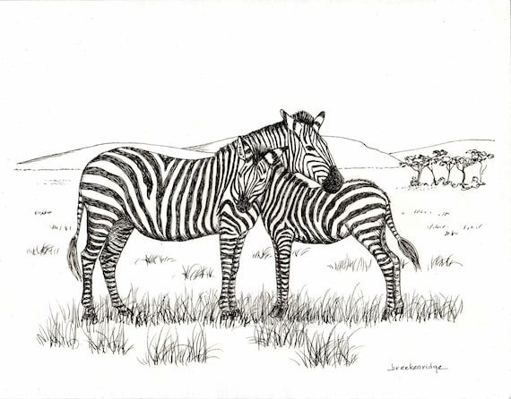 Mother and Baby Zebra Drawing Print