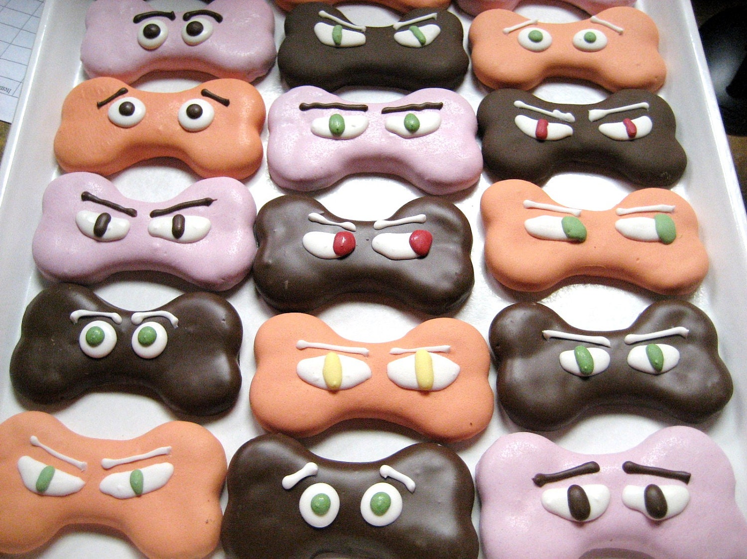 Gourmet Dog Treats Spooky Bones Decorated Dog Cookies