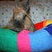 Ugli Donut bunny bed for a medium sized bunny hand knitted bright stripes