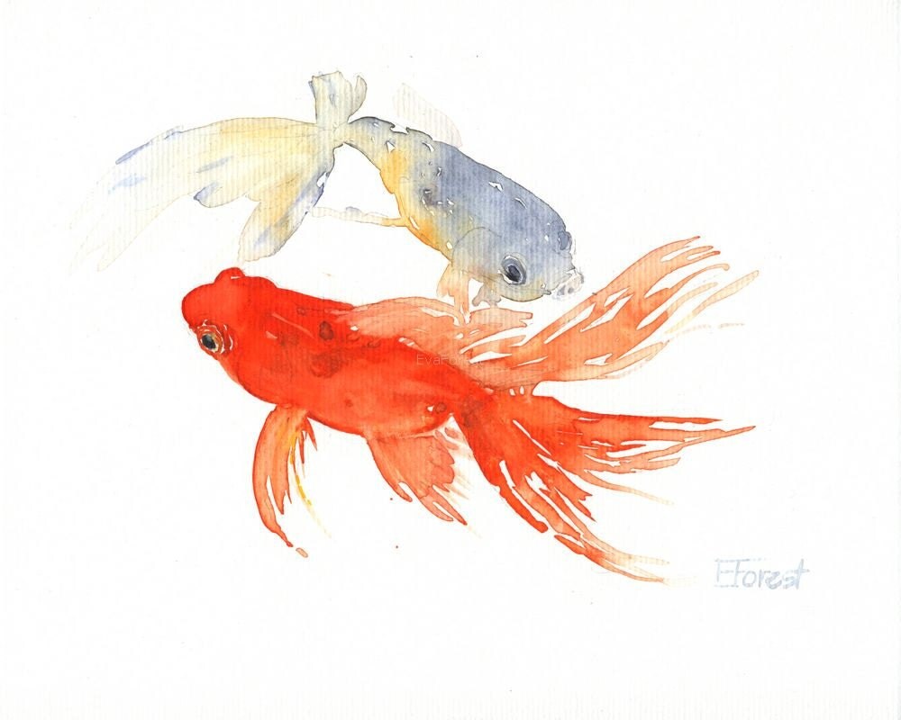 CURIOUS GOLDFISH Watercolor paint Archival Print of by EvaForest
