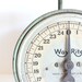 Vintage green Way Rite scale
