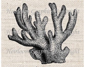 Coral stencil | Etsy