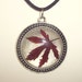 Real Pressed Red Japanese Maple Leaf Pendant