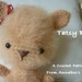 Crochet Teddy Bear Tatsy Bear PDF Pattern