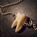 Human Tooth with Silver Cavity and Crystals Molar Necklace