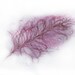 Feather painting-Light pink feather in watercolor-Ostrich feather painting