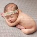 Newborn Photography Fabric Backdrop - Splendor Knit Backdrop - 2 Yards