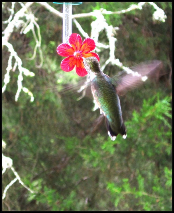 Hummingbird feeder stoppers and tubes w.flower set by HummDecor