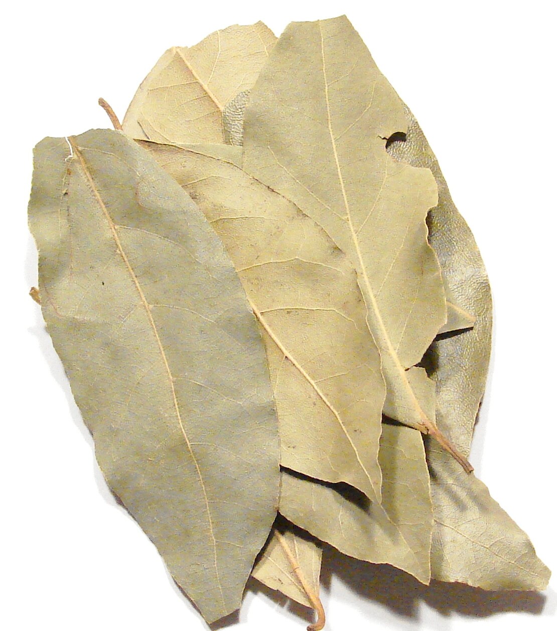 Bay Leaves Whole 4oz Hand Harvested Turkish Bay Leaves