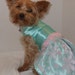 small dog dress