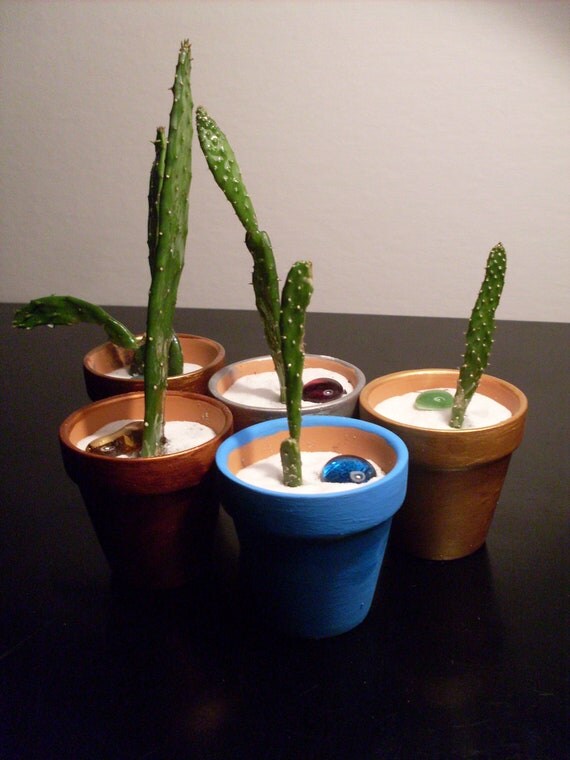 Miniature Prickly Pear Cactus Plants Lot of 5 Mini Opuntia Ficus-Indica Mexican Nopales Spring  Cactaceae