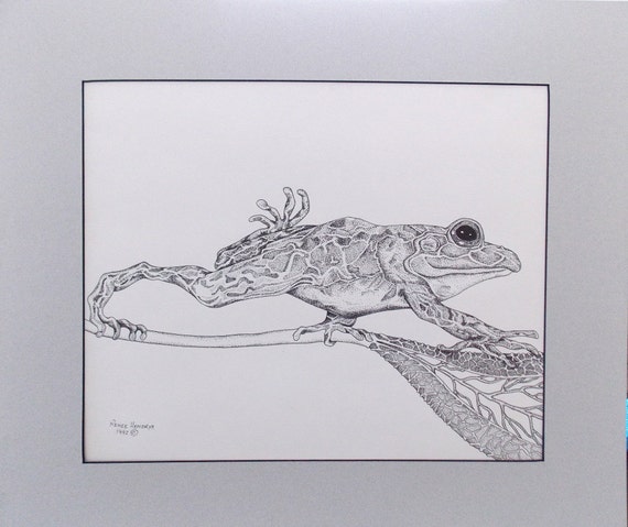 Items similar to Tree Frog Pen and Ink Original Frog Animal Art Matted ...