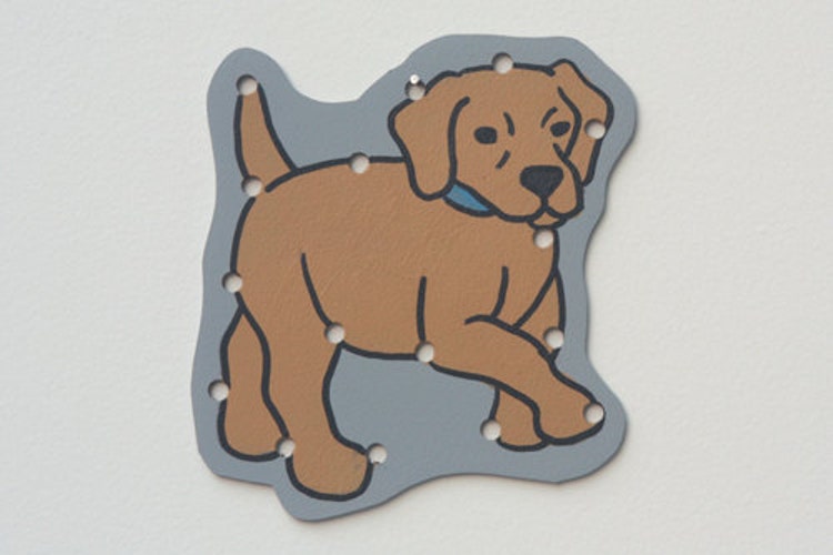 Pet Animals Lacing Cards by DreamAndPlay on Etsy