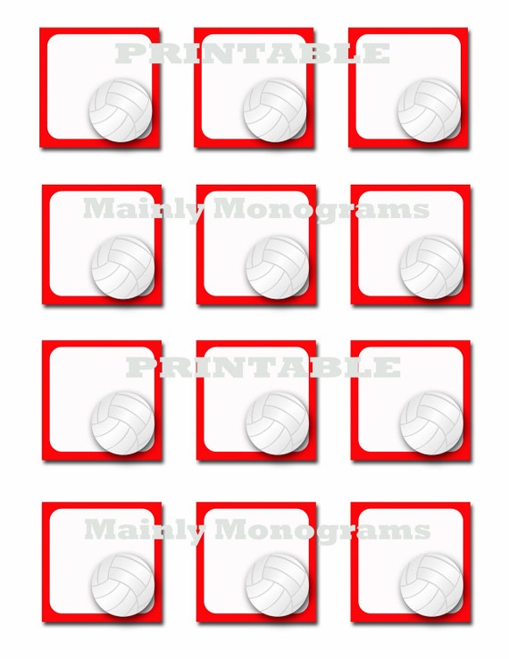 printable-volleyball-tags-or-labels-ready-to-by-mainlymonograms