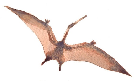 realistic pterodactyl