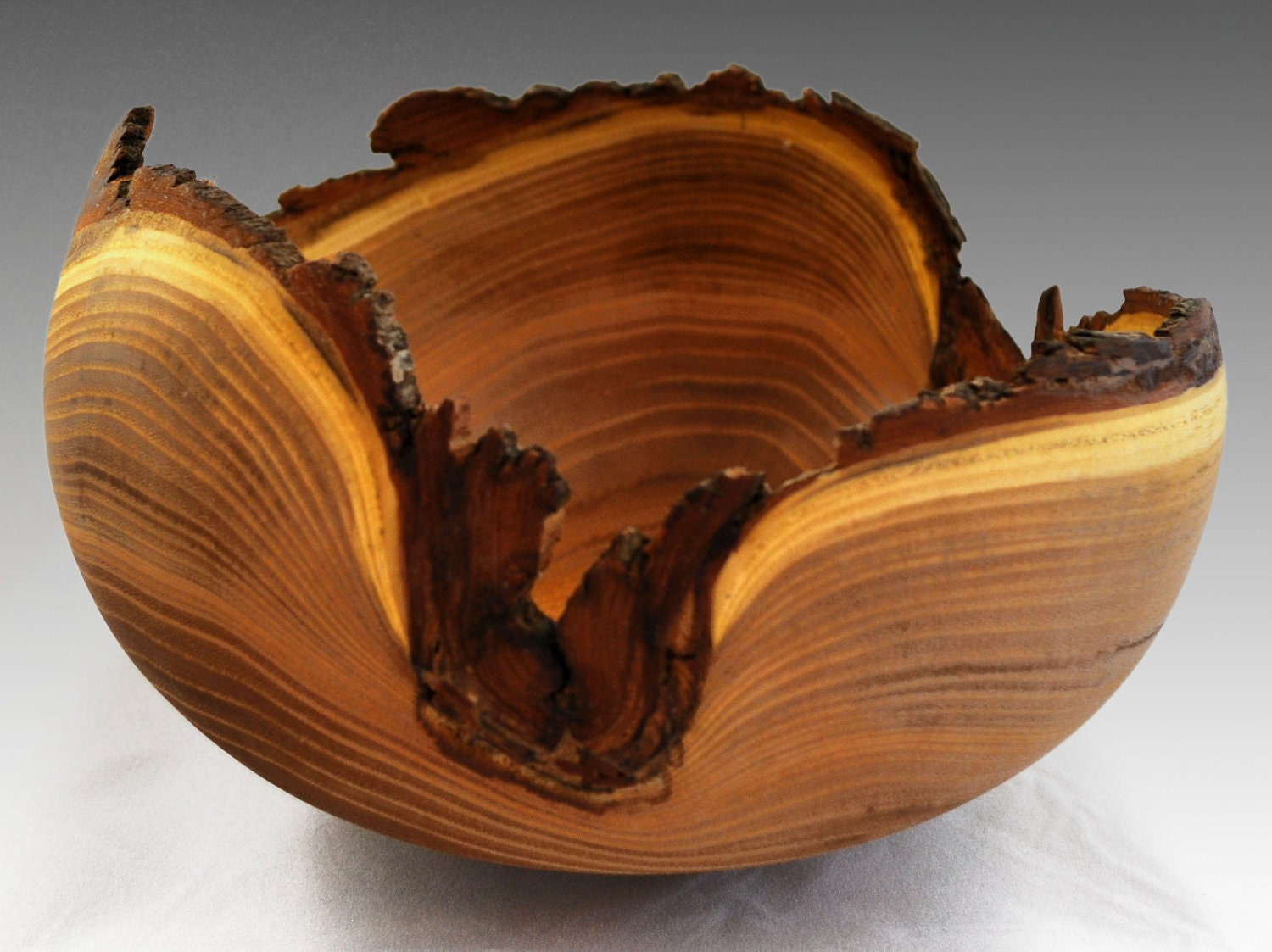 Large Artistic Black Locust Bowl with Bark by NorwegianWoodGallery