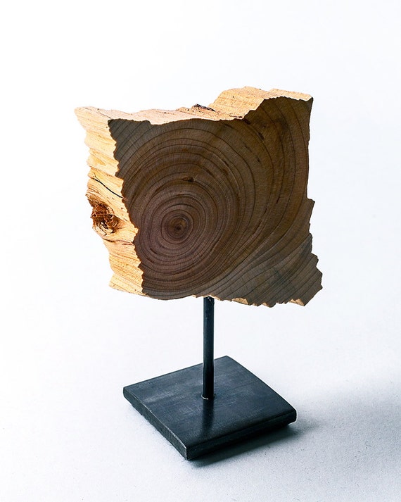 Minimalist Wood Sculpture Fine Art Wood Sculpture on Steel