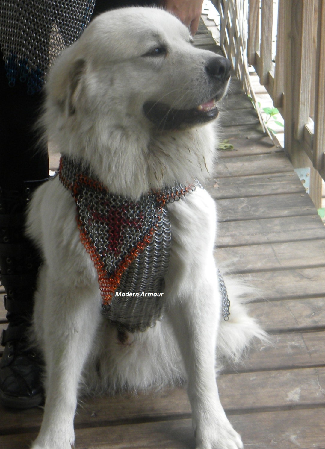 Chainmail Protective Dog Armor Hunting Class