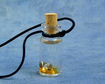Hermit Crab Specimen Jar Necklace, Handmade Science Jewelry