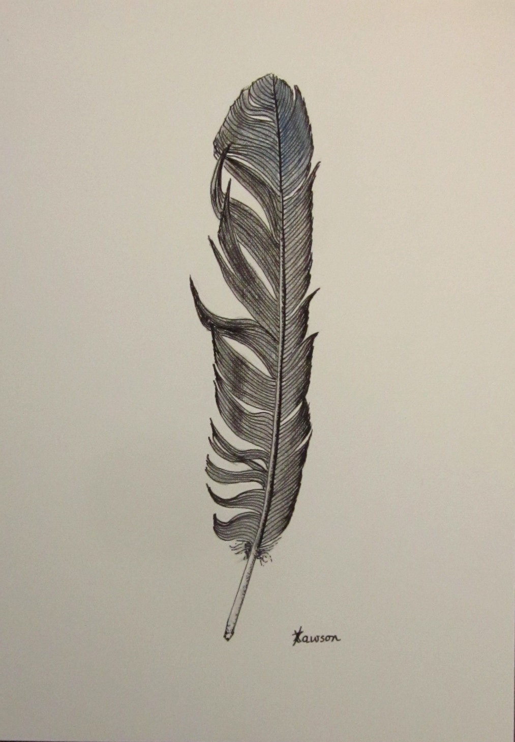 messy black feather original ink and coloured pencil messy black feather original ink and coloured pencil