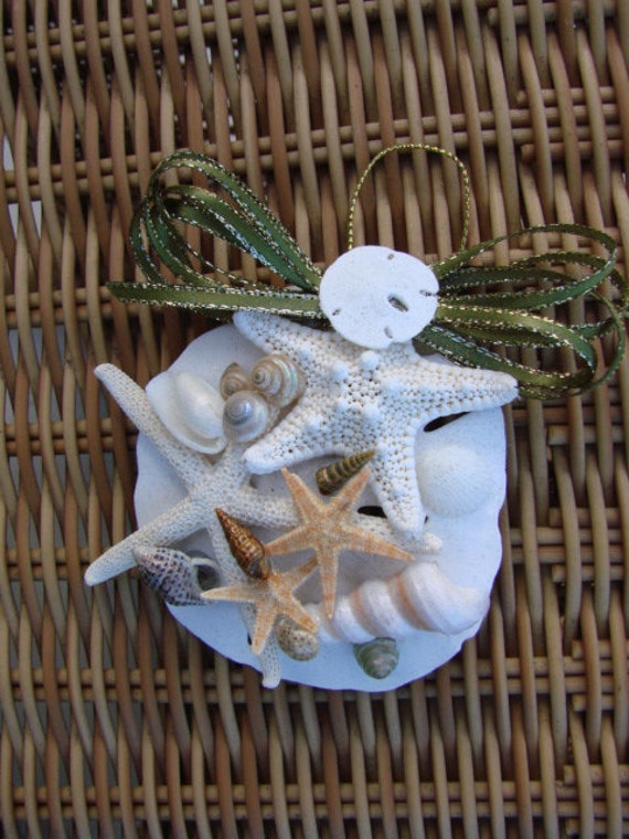 Seashell ORNAMENT with Starfish & Sand Dollar Beach by MamaStowes