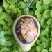 Great Horned Owl Gourd Ornament Woodburned Pyrography