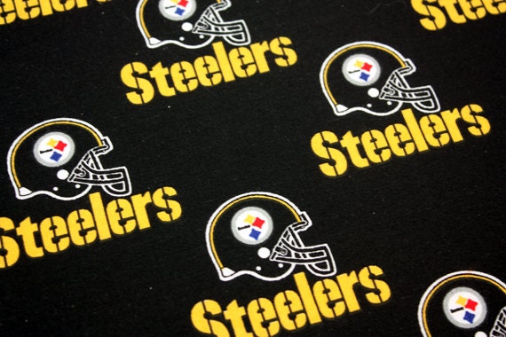 Steelers defensive line picture