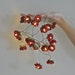 Deep Red Longer Wild Roses Fairy Lights