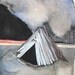 Driftwood House Art, Original Art, Original Painting, Beach House, Beach Art - Art for Beach House - Let's Stay the Night Here