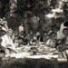 vintage photo Large Group Picnic in Woods 1907 rppc
