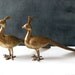 Large Brass Peacocks : Pair of Vintage Brass Animals