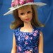 Francie Clothes - Blue and Pink Print Summer Dress and Hat