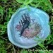 Raven bowl birdseed water and more