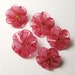 Pink Flower Buttons - Artisan Lampwork Glass Button Beads handmade by Serena Smith sra