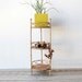 Bamboo Plant Stand