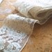 Vintage Wide Band Net Lace Trim