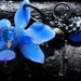 real orchid necklace, preserved flower, statement necklace, handmade jewelry for her