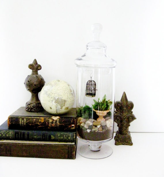 Plant Terrarium with Bird Cage Miniature Garden by DoodleBirdie