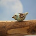Sweety..... lampwork bird bead... sra